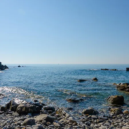 Seaside Dream - *