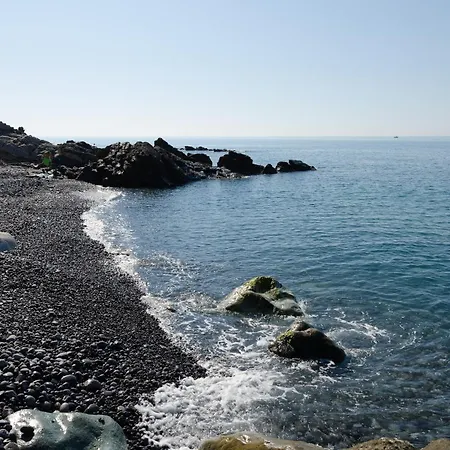 Seaside Dream - Cipressa